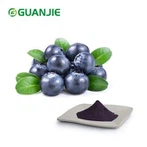 Bột quả việt quất
