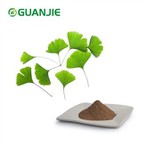 Bột chiết xuất bạch quả