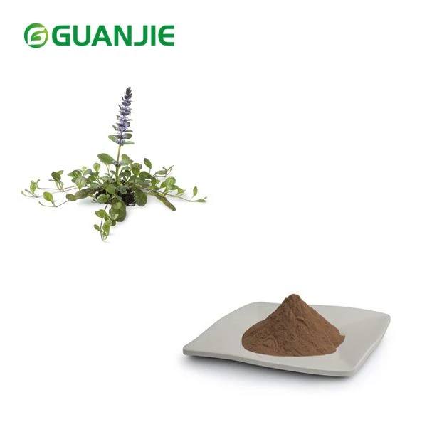 Chiết xuất Ajuga Turkestanica