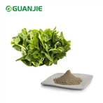 Bột chiết xuất Andrographis Paniculata