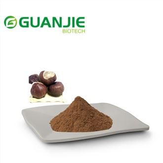 Chiết xuất hạt dẻ ngựa tốt nhất
