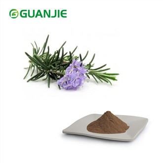 Chiết xuất hương thảo Axit Rosmarinic