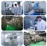 Quercetin Powder
