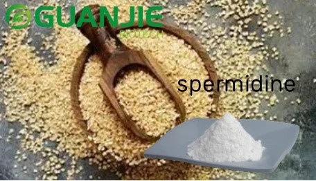 wheat germ extract spermidine wheat germ extract spermidine