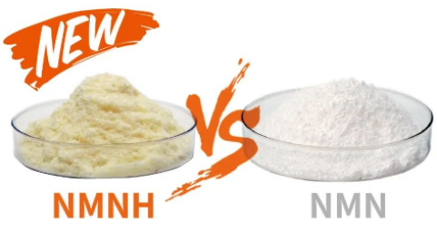NMN vs NMNH NMN vs NMNH