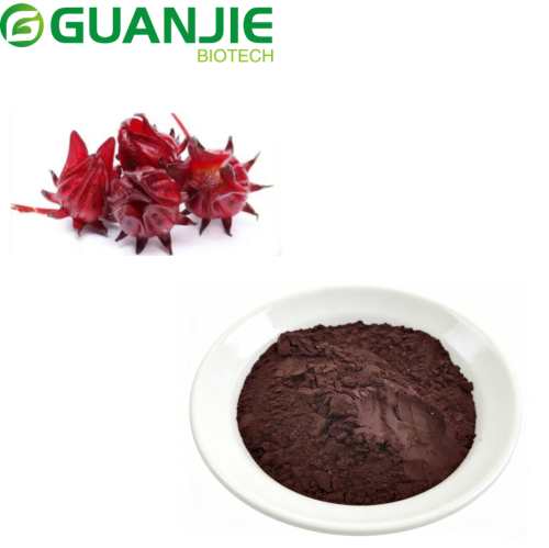Bột chiết xuất hoa hồng