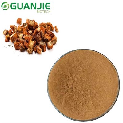 Bột chiết xuất Salvia Miltiorrhiza